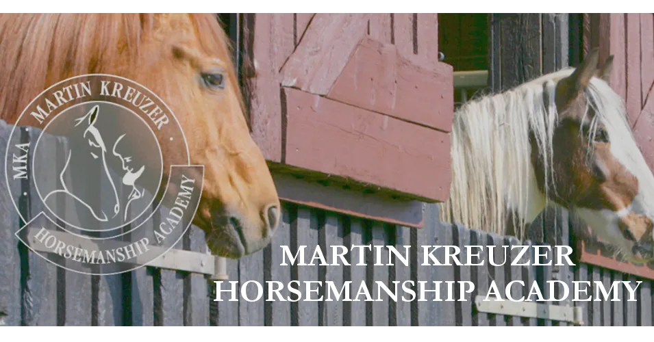 Lehr DVDs - MARTIN KREUZER HORSEMANSHIP ACADEMY