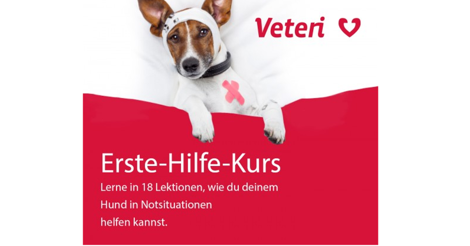 ⇒ Veteri Erste Hilfe Kurs für Hunde